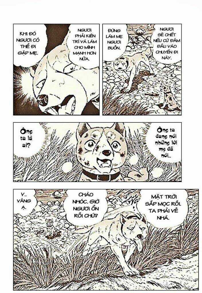 Ginga Densetsu Riki Chapter 3 trang 17