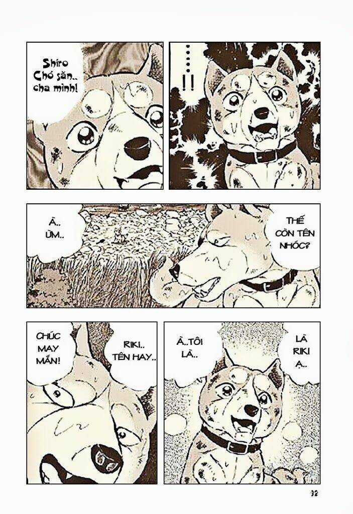 Ginga Densetsu Riki Chapter 3 trang 19