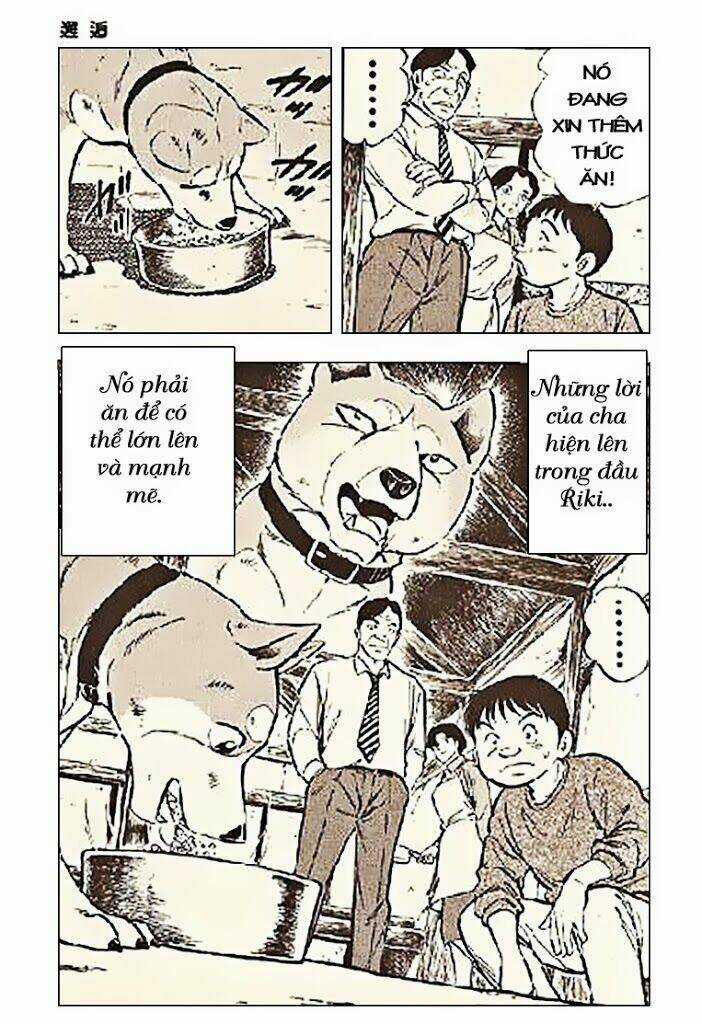 Ginga Densetsu Riki Chapter 3 trang 24