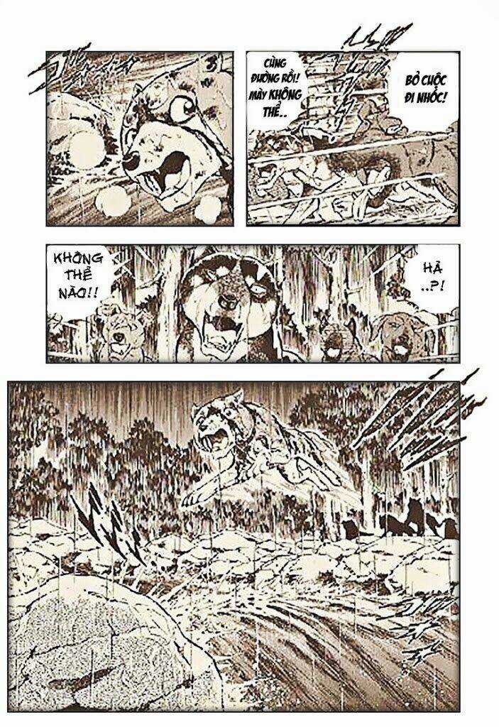 Ginga Densetsu Riki Chapter 3 trang 6