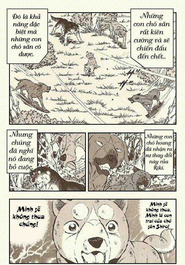 Ginga Densetsu Riki Chapter 4 trang 25