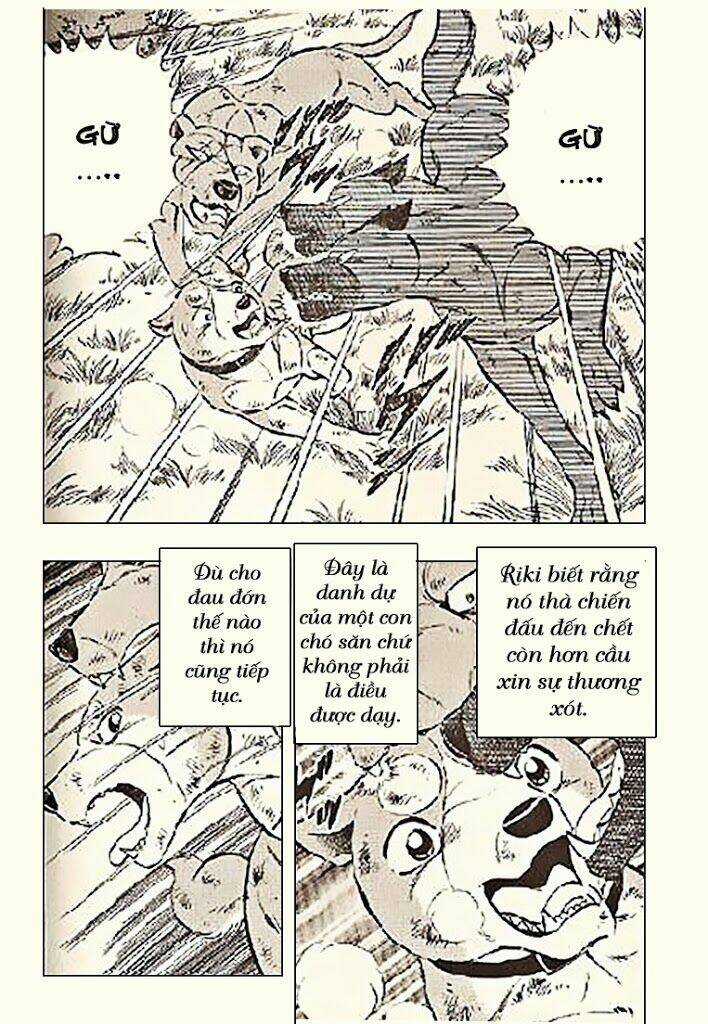 Ginga Densetsu Riki Chapter 5 trang 11