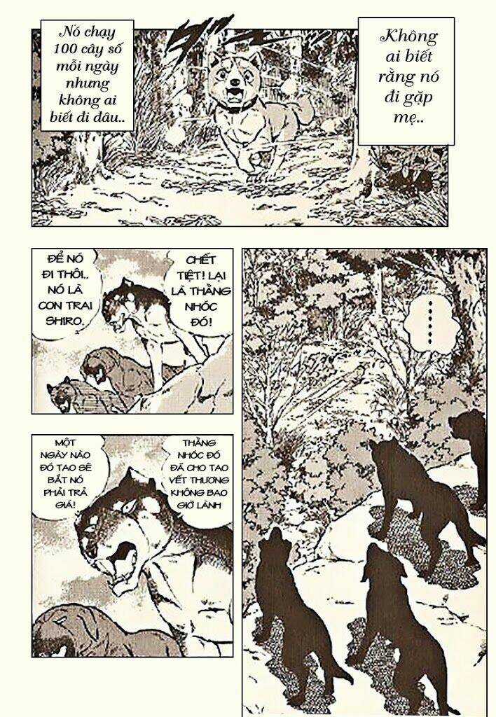 Ginga Densetsu Riki Chapter 5 trang 23