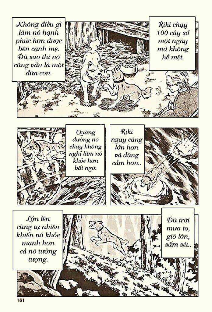Ginga Densetsu Riki Chapter 5 trang 24