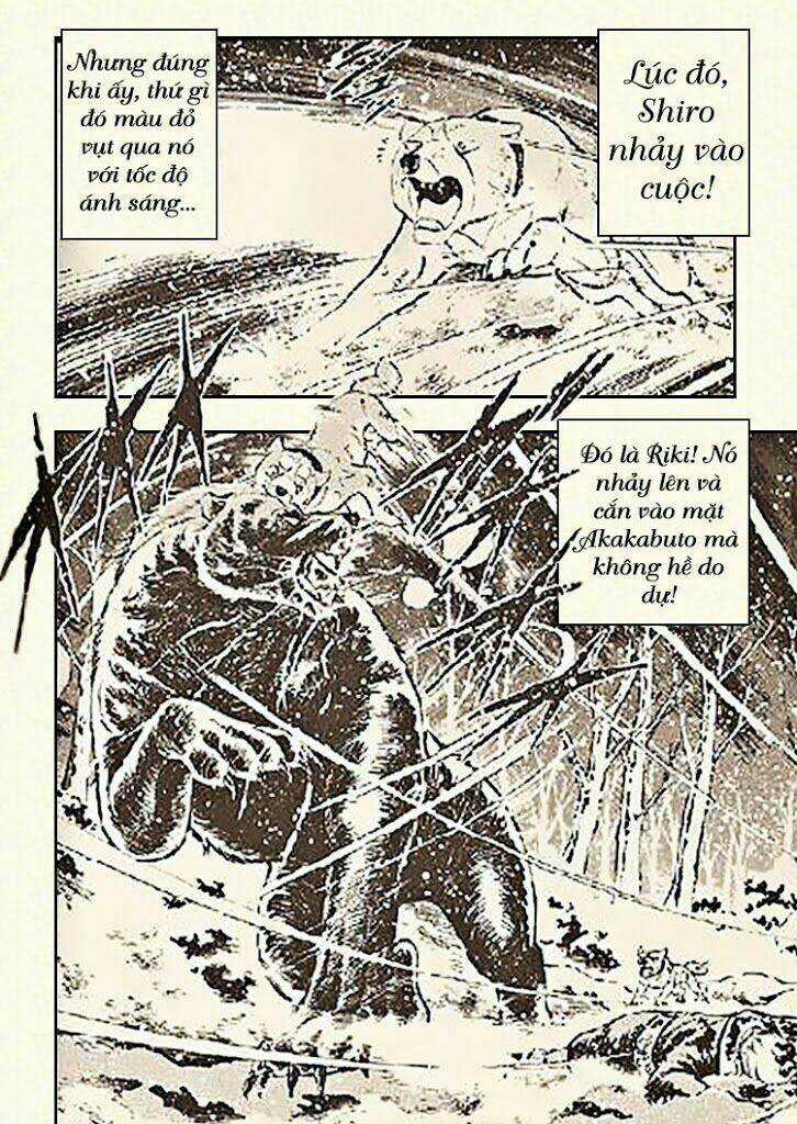 Ginga Densetsu Riki Chapter 6 trang 18