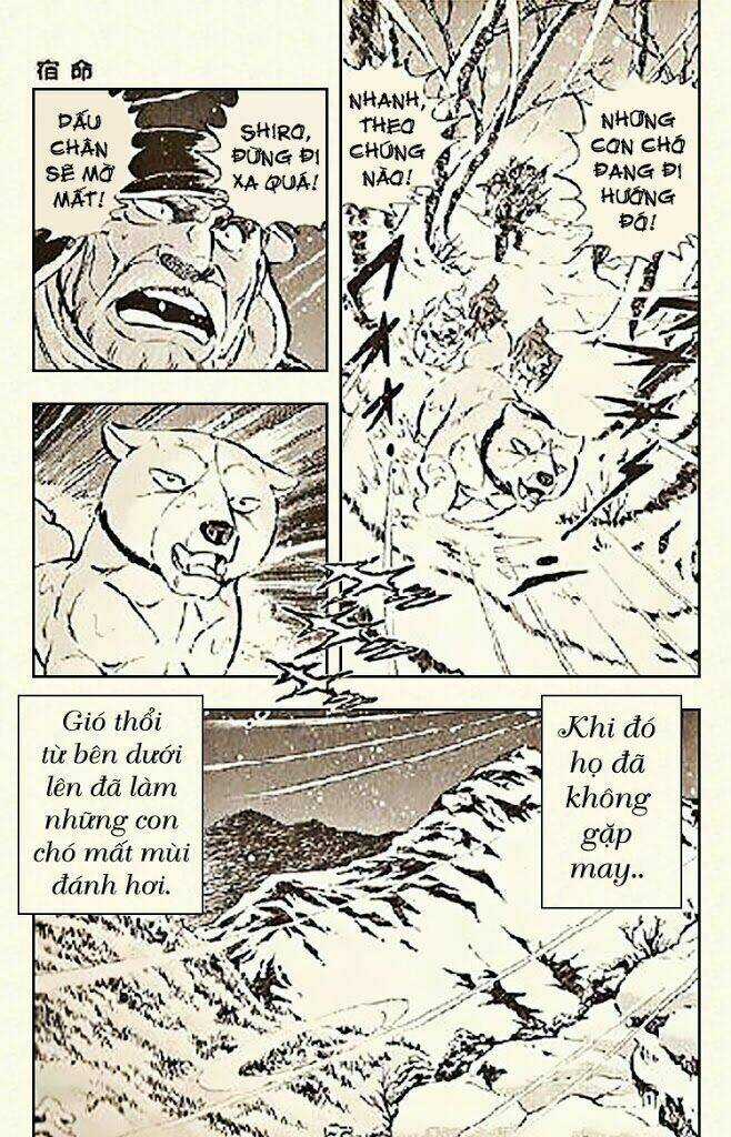 Ginga Densetsu Riki Chapter 6 trang 7