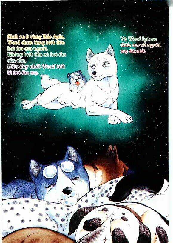 Ginga Densetsu Weed Gaiden Chapter 1 trang 2