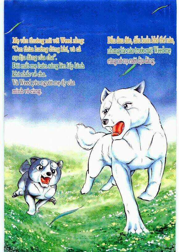 Ginga Densetsu Weed Gaiden Chapter 1 trang 3