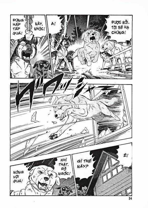 Ginga Densetsu Weed Gaiden Chapter 1 trang 34