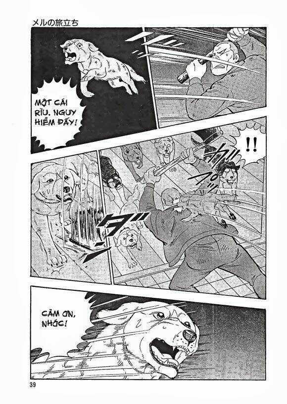 Ginga Densetsu Weed Gaiden Chapter 1 trang 39