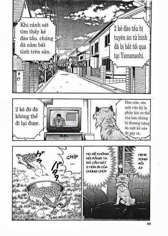 Ginga Densetsu Weed Gaiden Chapter 1 trang 44