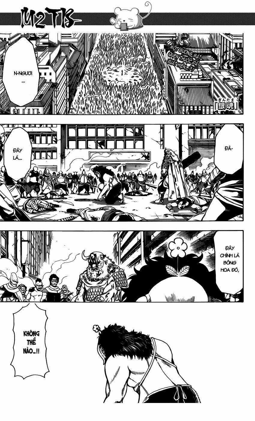 Gintama - Linh Hồn Bạc Chapter 626 trang 0
