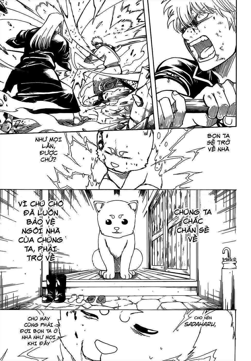 Gintama - Linh Hồn Bạc Chapter 664 trang 11