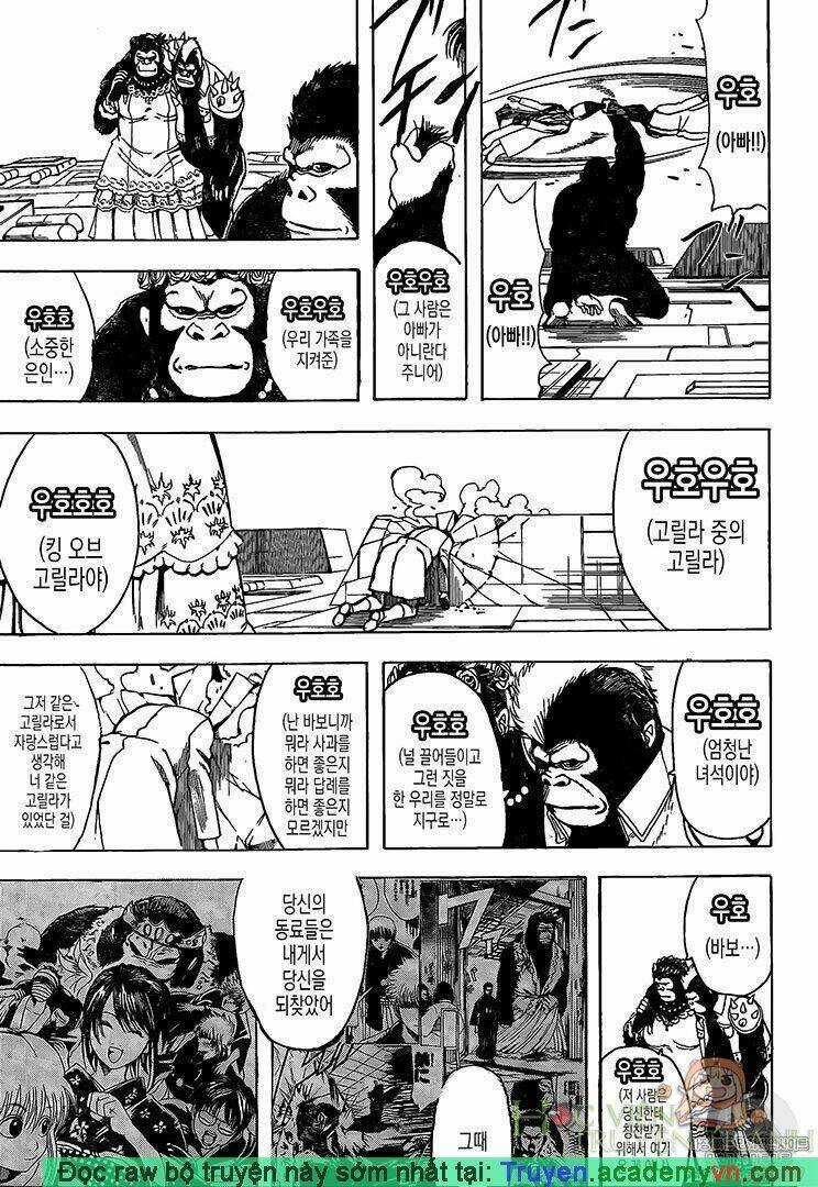 Gintama - Linh Hồn Bạc Chapter 695 trang 14