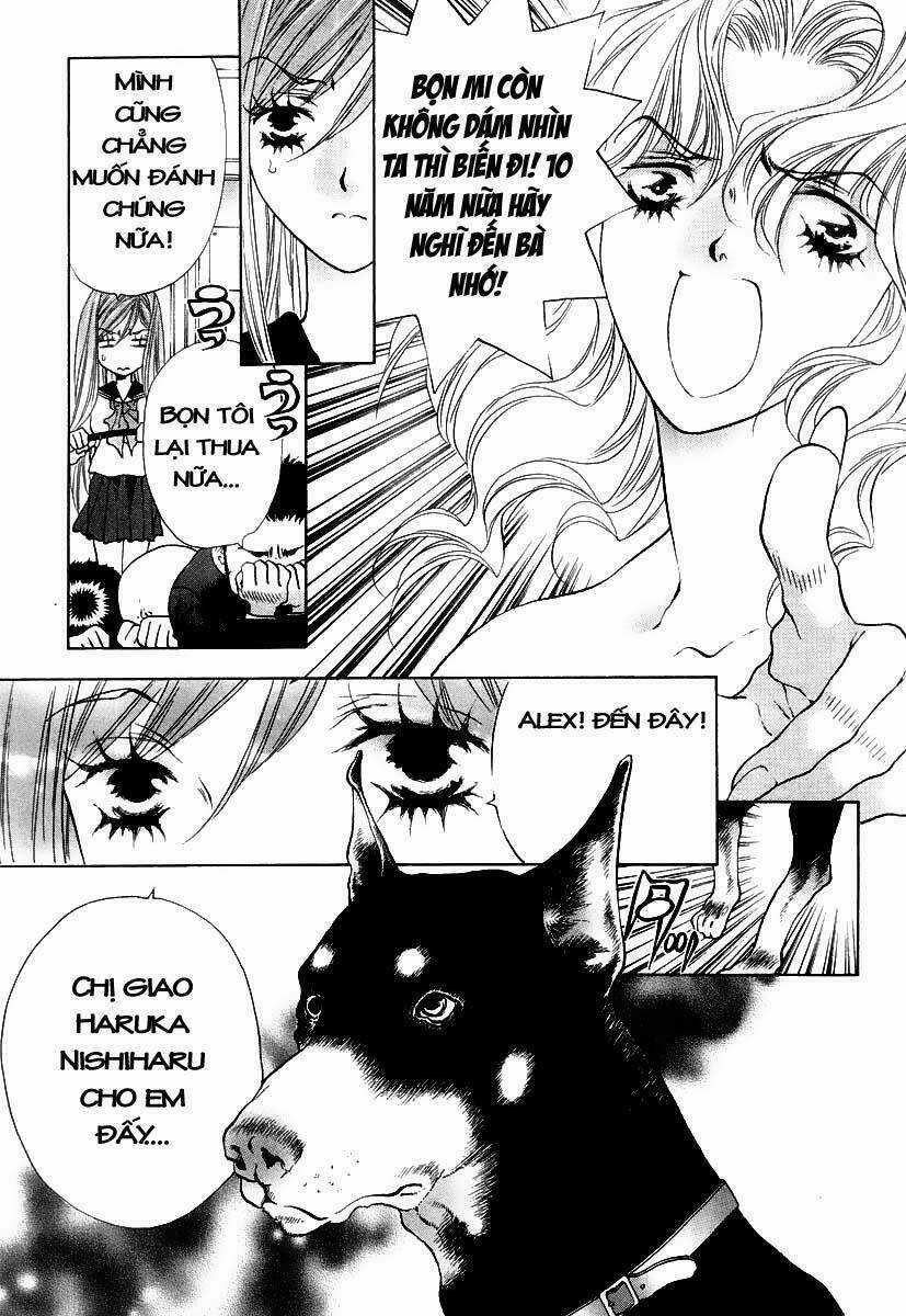 Girls Saurus Dx Chapter 3 trang 17