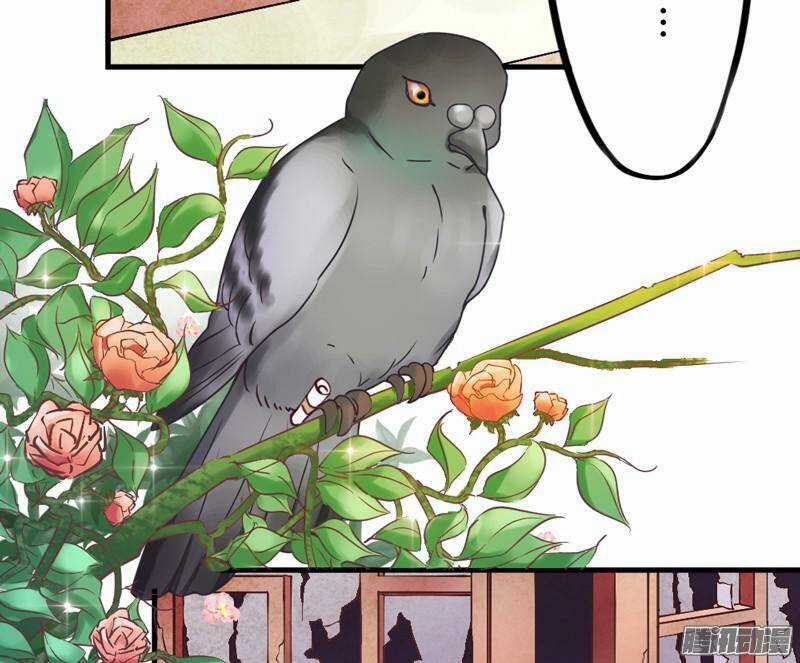 Giữ Chặt Tiểu Bạch Long Chapter 18 trang 5
