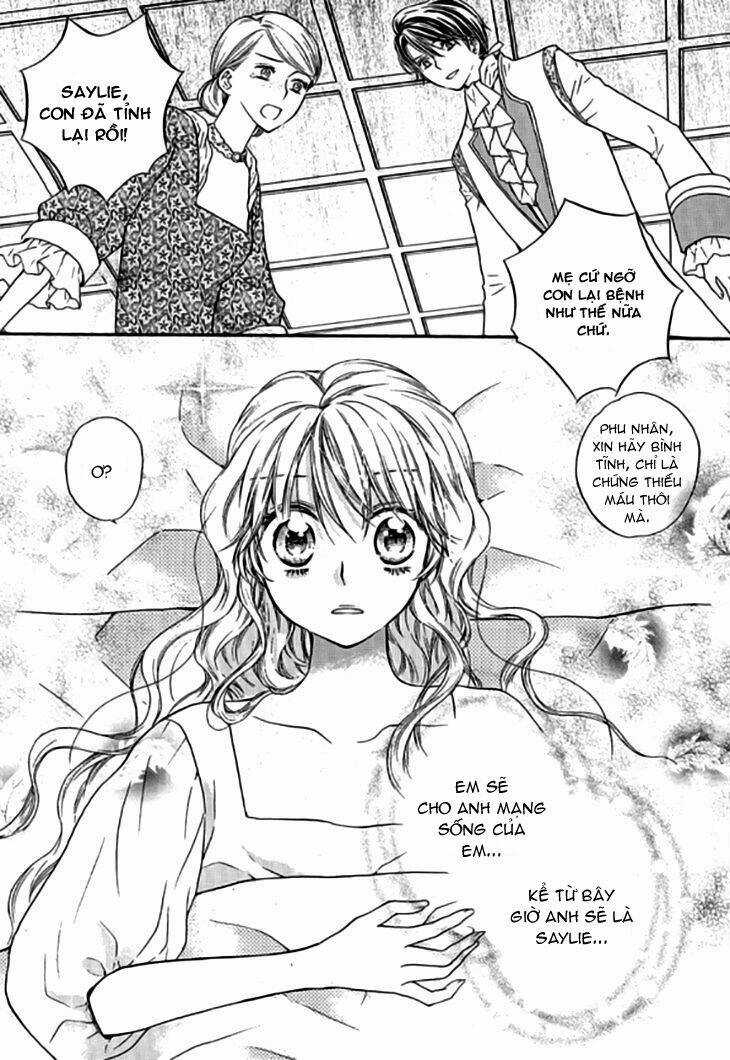 Glass Shoe Chapter 19 trang 28