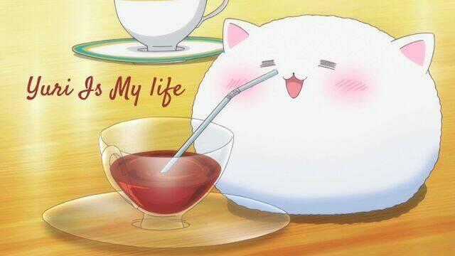 Gochuumon Wa Usagi Desu Ka? (Yml) Chapter 7 trang 9