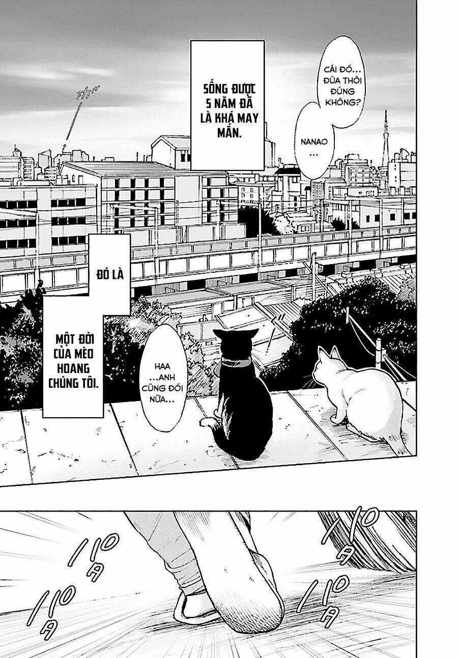 Gojussenchi No Isshou Chapter 1 trang 11