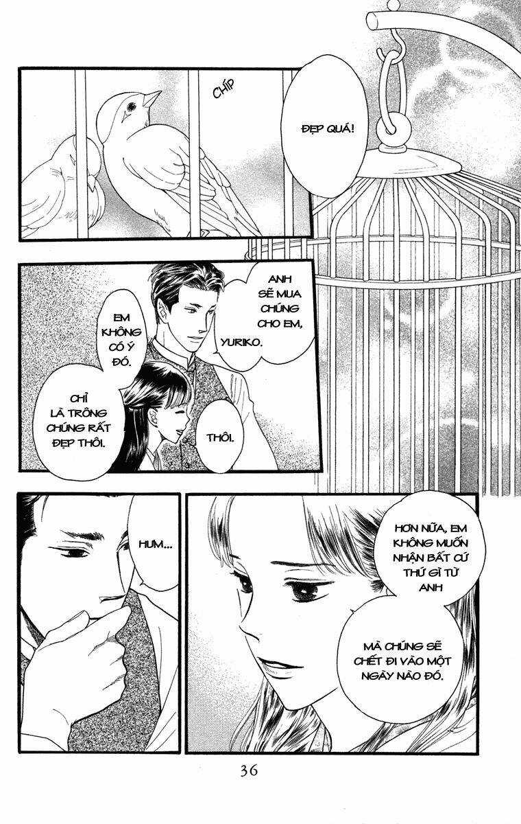 Golden Days - Tháng Ngày Tươi Đẹp Chapter 19 trang 3