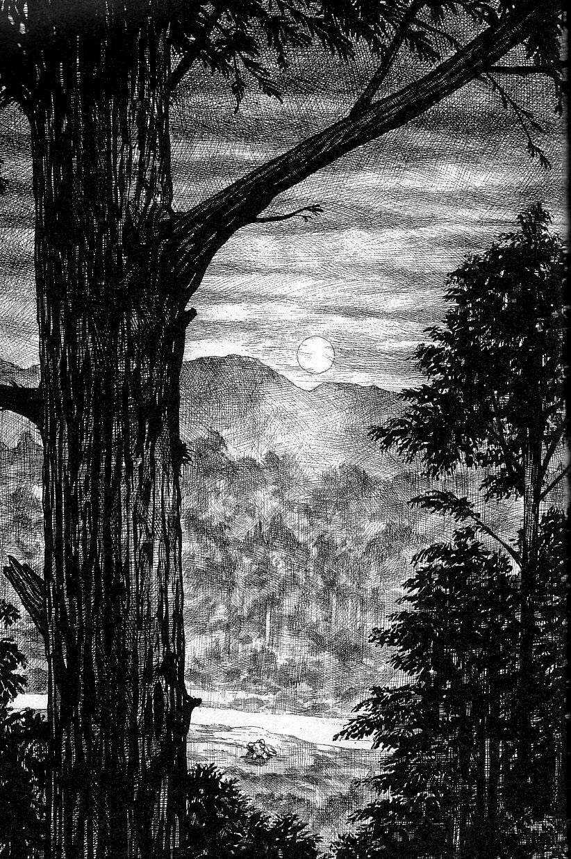 Gon Chapter 1 trang 34