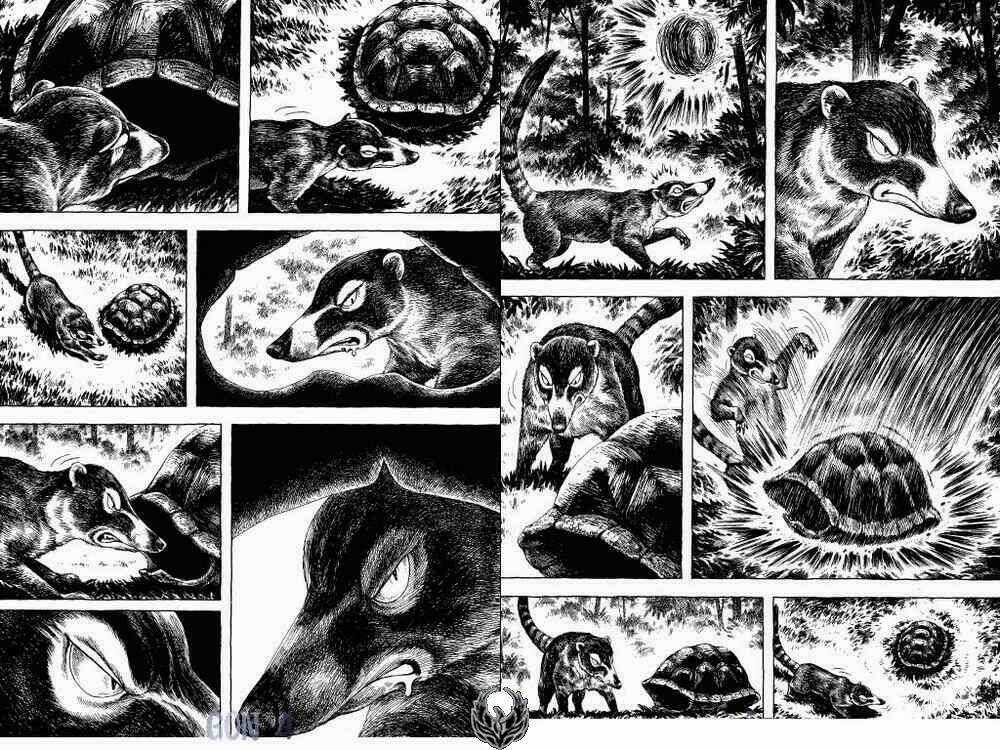 Gon Chapter 13 trang 9