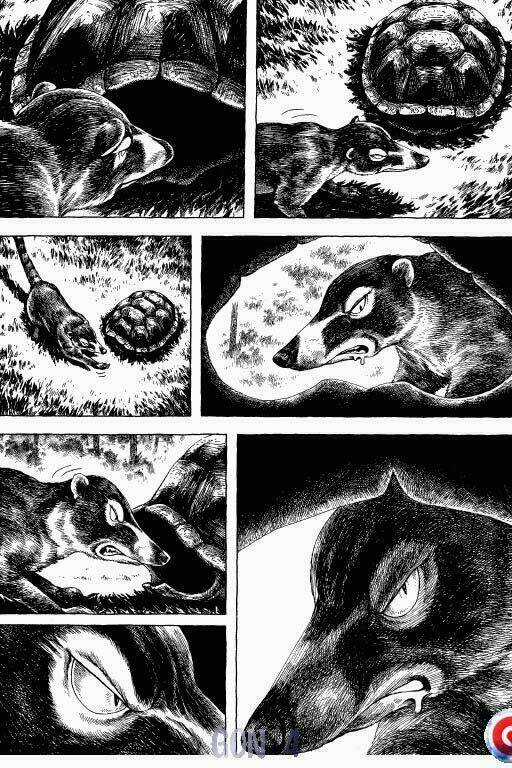 Gon Chapter 4 trang 19