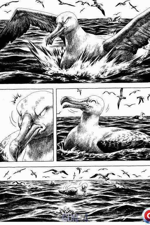 Gon Chapter 4 trang 40