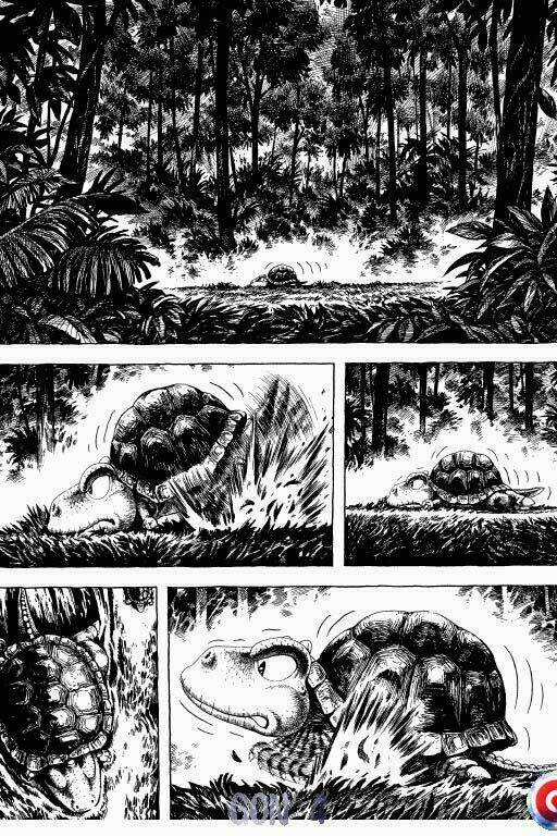 Gon Chapter 4 trang 7