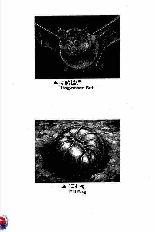 Gon Chapter 5 trang 143