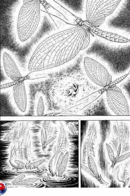 Gon Chapter 5 trang 71