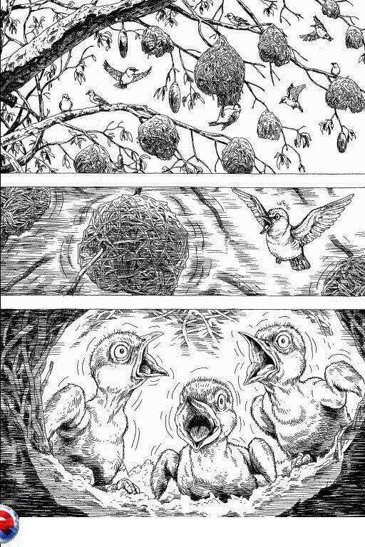 Gon Chapter 6 trang 5