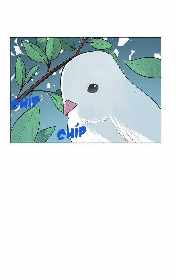 Good/Bad Fortune Chương 1 trang 64