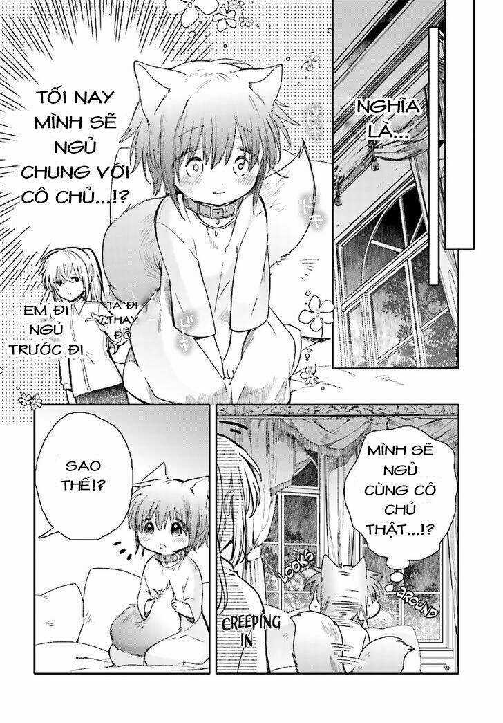 Goshujin-Sama To Kemonomimi No Shoujo Meru Chapter 2 trang 11