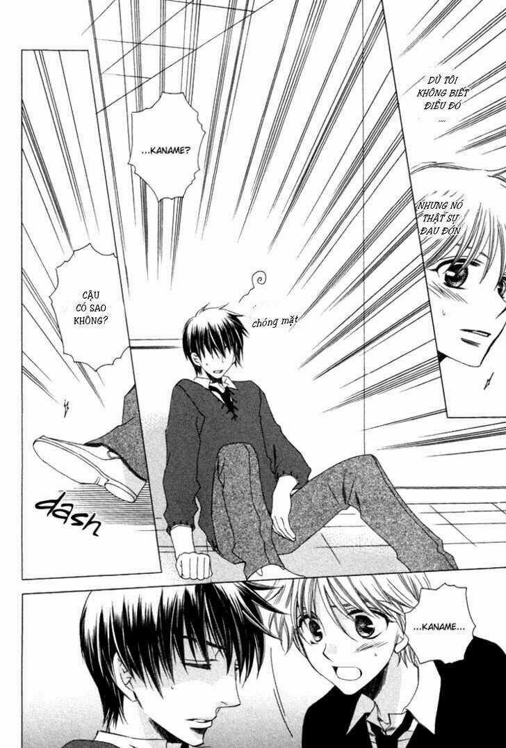 Goshujinsama Ni Kiwotsukete Chapter 1 trang 29