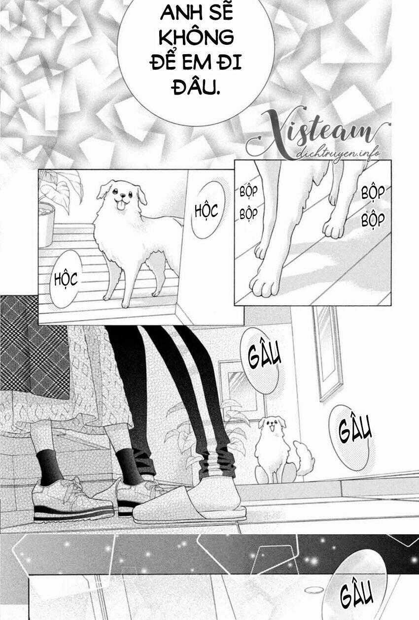 Gozen 0-Ji, Kiss Shi Ni Kite Yo Chapter 44 trang 28