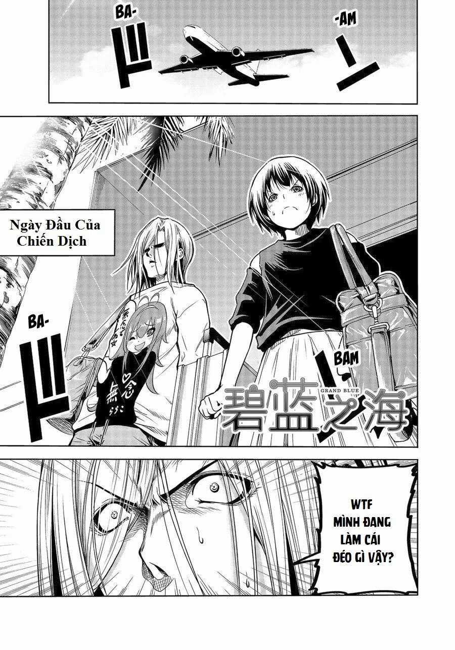 Grand Blue - Cô Gái Thích Lặn Chapter 64 trang 0
