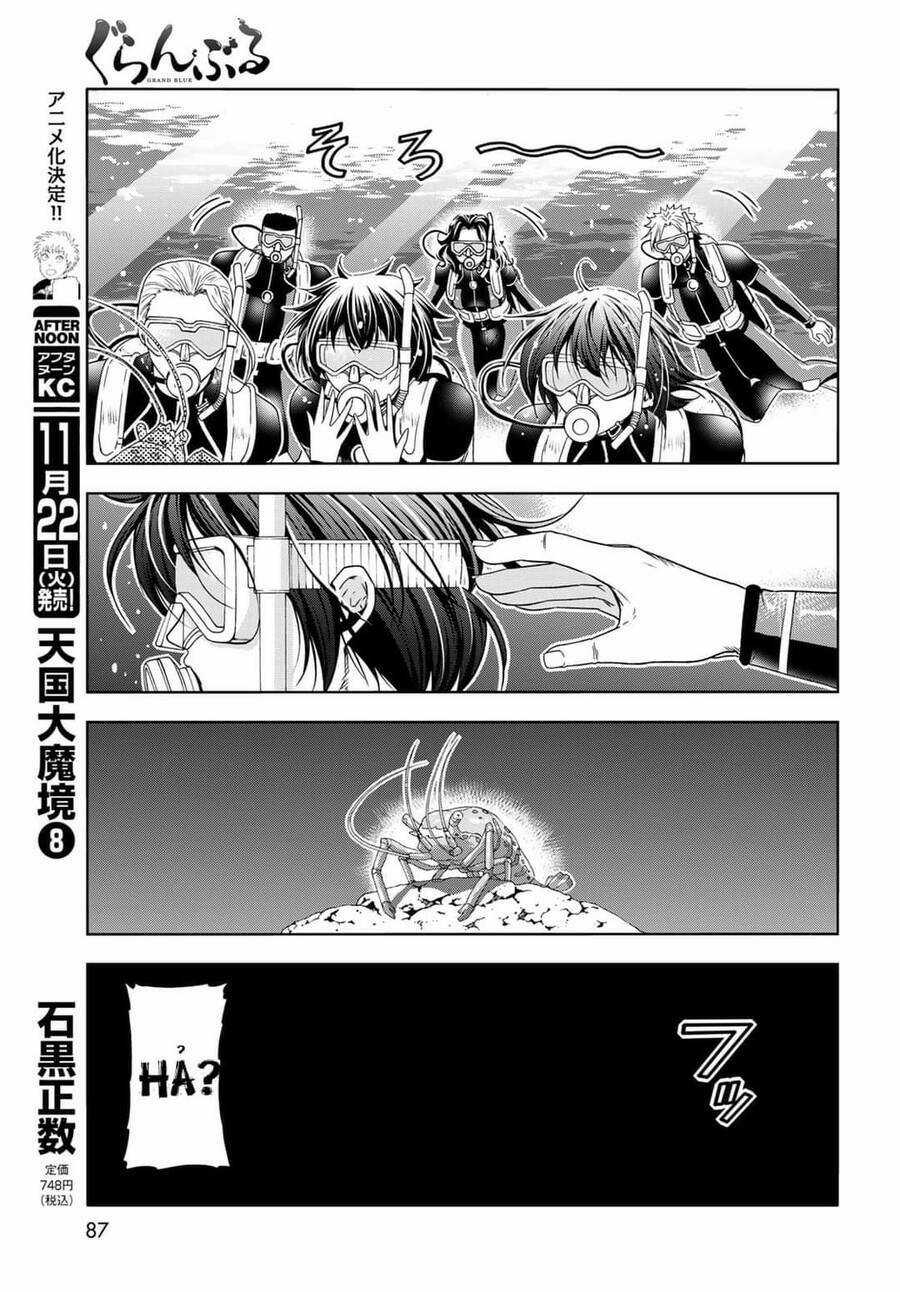 Grand Blue Chapter 80 trang 25