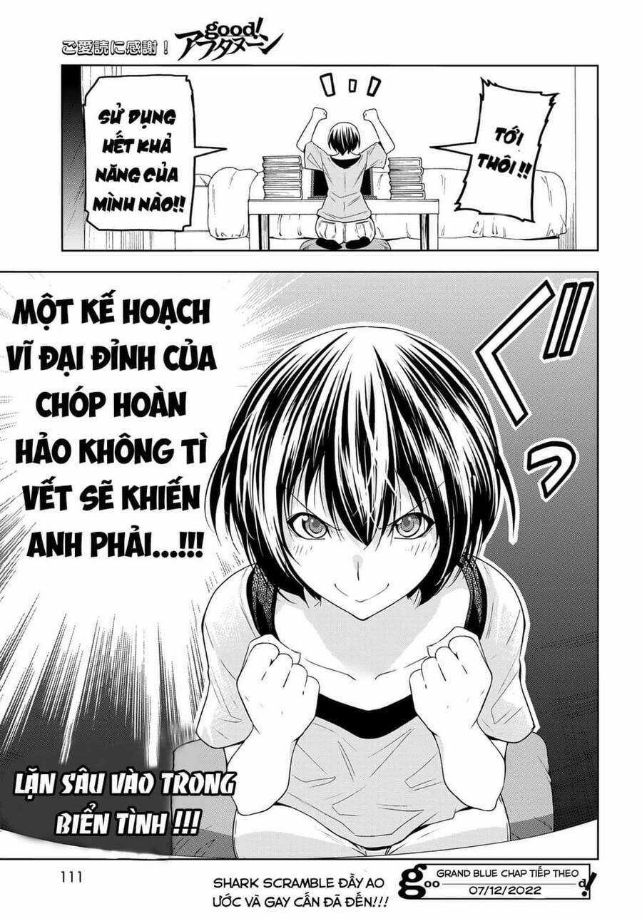 Grand Blue Chapter 80 trang 49