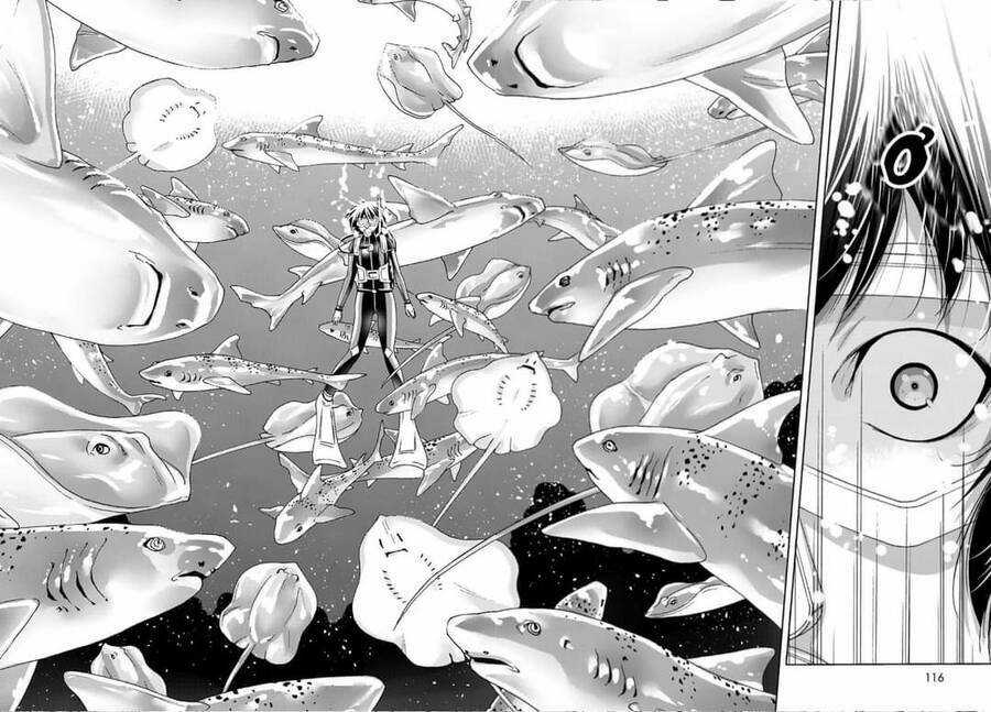 Grand Blue Chapter 81 trang 24