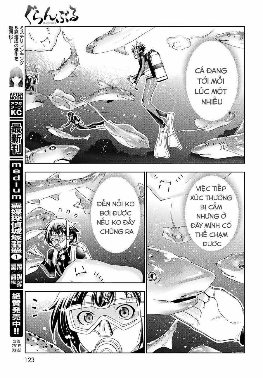 Grand Blue Chapter 81 trang 30