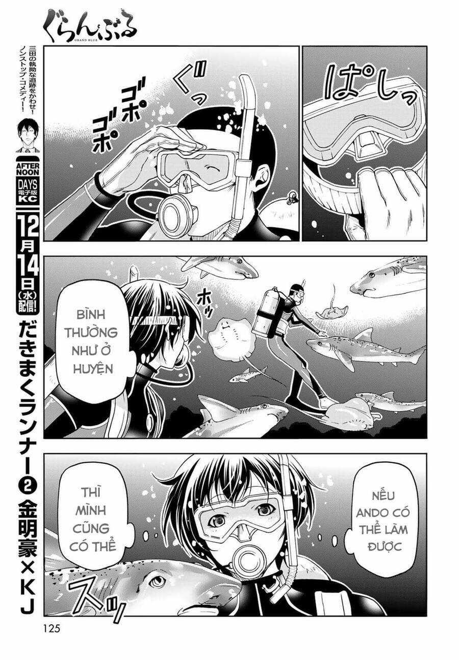 Grand Blue Chapter 81 trang 32