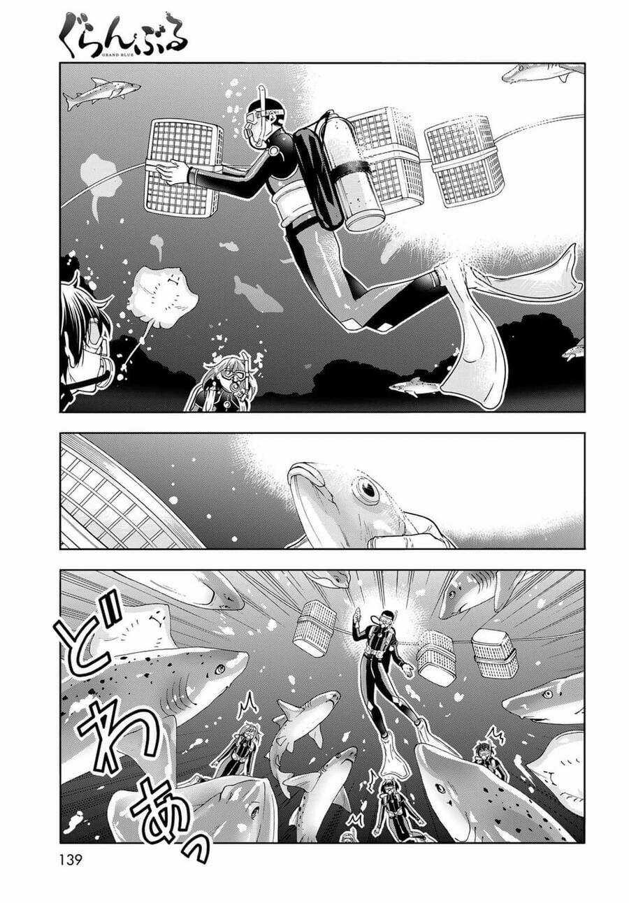 Grand Blue Chapter 81 trang 46