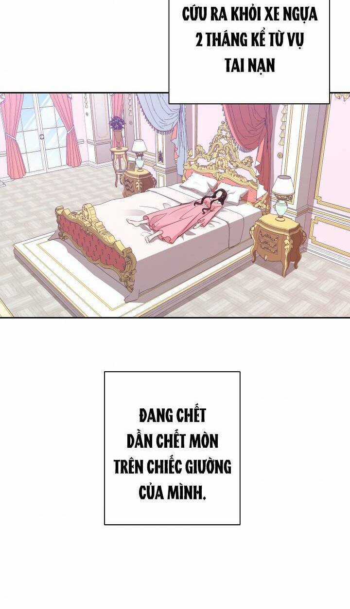Gửi Đến Người Bạn Của Tôi Chapter 15 trang 41