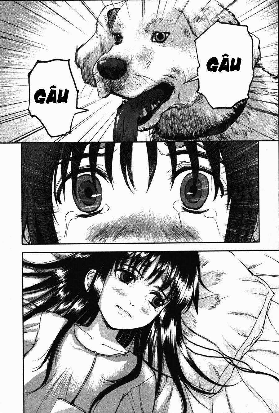 Gunslinger Girl Chapter 48 trang 5