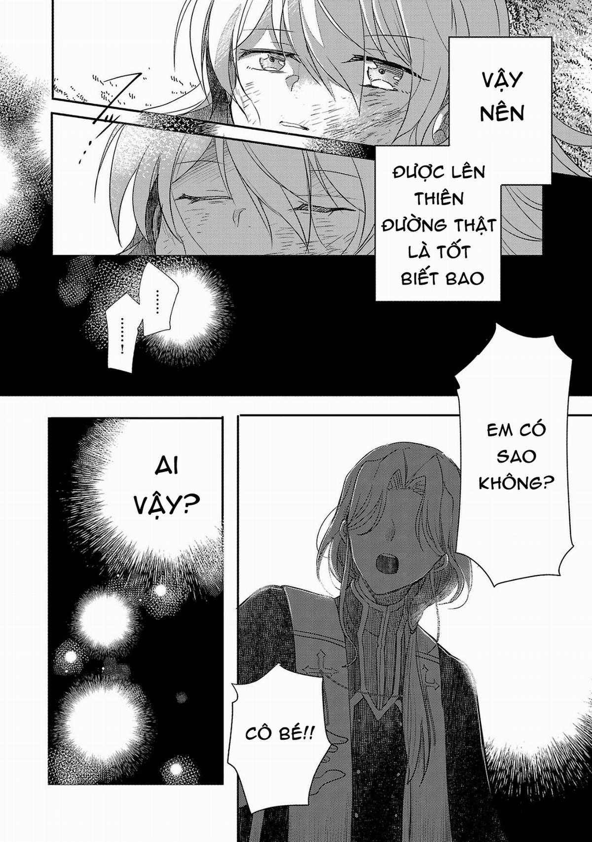 Gyakutaisarete Ita Shouka no Reijou wa Seijo no Chikara wo Te ni Ire, Mujikaku ni Youshanaku Gyakushuu suru Chapter 1 trang 47