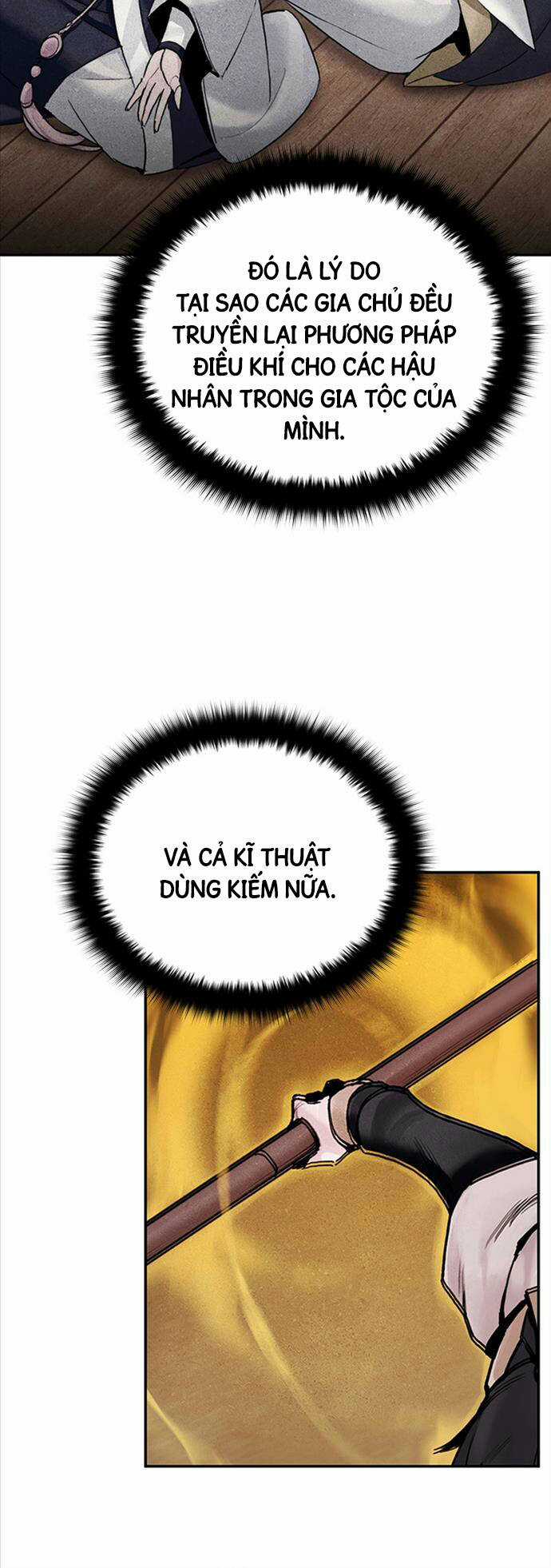 Hắc Bạch Võ Đế Chapter 19 trang 10