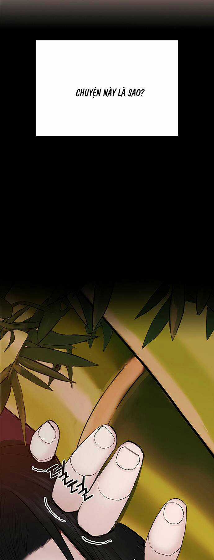 Hắc Bạch Võ Đế Chapter 19 trang 13