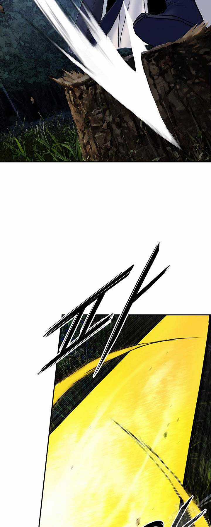 Hắc Bạch Võ Đế Chapter 33 trang 75