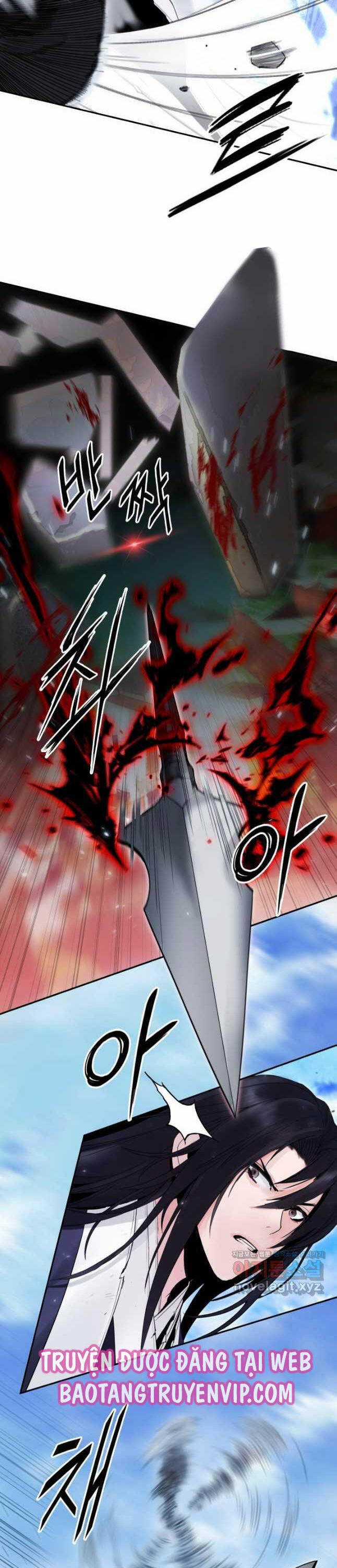 Hắc Bạch Võ Đế Chapter 40 trang 13